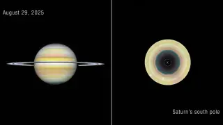 Image via ScienceDaily