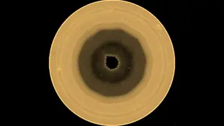 Image via ScienceAlert