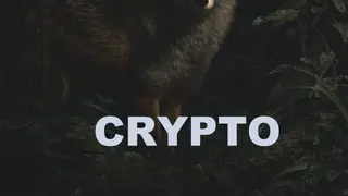 Image via Crypto Integrated