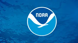 Image via NOAA Fisheries