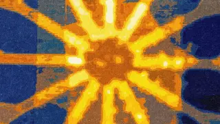 Image via ScienceDaily
