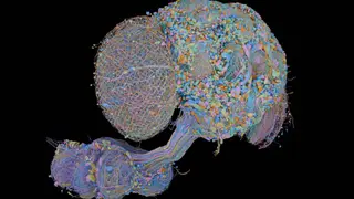 Image via Ars Technica