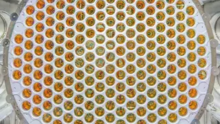 Image via Gizmodo