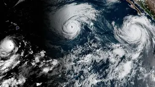 Image via NBC News