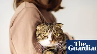 Image via The Guardian