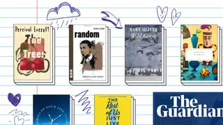 Image via The Guardian