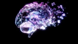 Image via Scientific American
