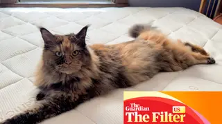 Image via The Guardian