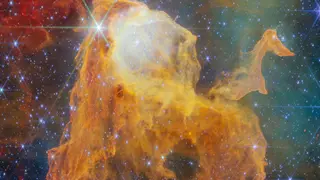 Image via Live Science