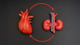 Image via ScienceDaily