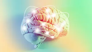 Image via Scientific American