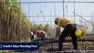 Image via South China Morning Post