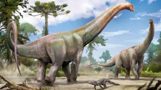 Image via ScienceDaily