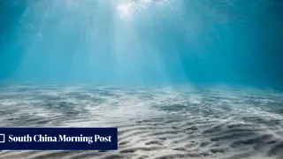 Image via South China Morning Post