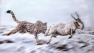 Image via ScienceDaily