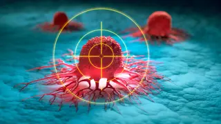 Image via ScienceDaily