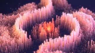 Image via Scientific American