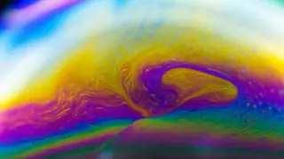 Image via Scientific American
