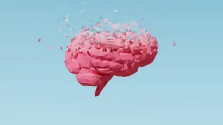 Image via Scientific American