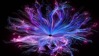 Image via Live Science