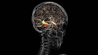 Image via New Scientist