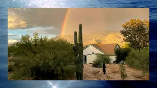Image via Grist