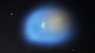 Image via ScienceDaily