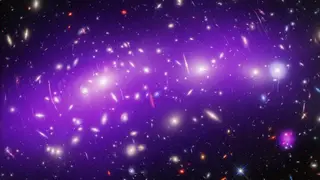 Image via Scientific American