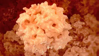 Image via MedPage Today