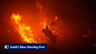 Image via South China Morning Post