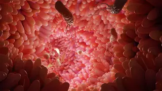 Image via MedPage Today