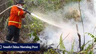 Image via South China Morning Post