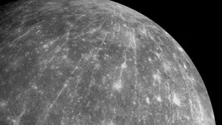 Image via Scientific American