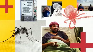 Image via Live Science