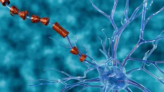 Image via MedPage Today
