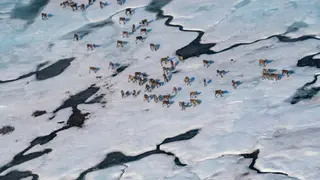 Image via Inside Climate News