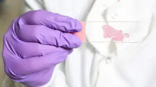 Image via Live Science