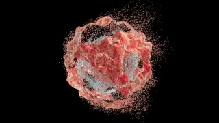 Image via ScienceDaily