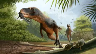 Image via ScienceDaily