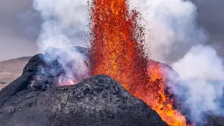 Image via ScienceDaily