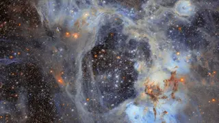 Image via Live Science