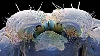 Image via MedPage Today