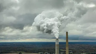 Image via Scientific American