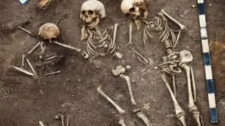 Image via ScienceDaily