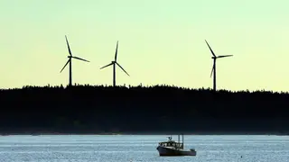 Image via Inside Climate News