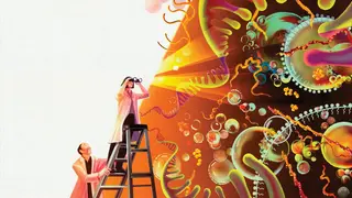 Image via Scientific American