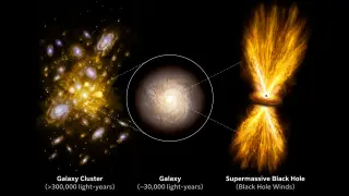 Image via ScienceDaily