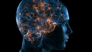 Image via ScienceDaily