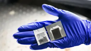 Image via ScienceDaily