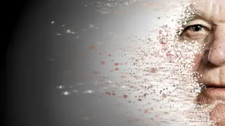 Image via ScienceDaily